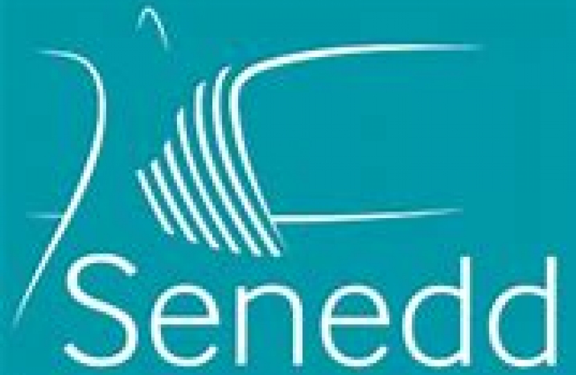 The Senedd